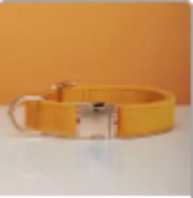 Multiple Colour Velvet Personalise Dog Collar Leash Set With Bow (Option: Yellow-S)
