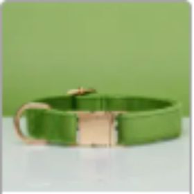 Multiple Colour Velvet Personalise Dog Collar Leash Set With Bow (Option: Green-M)